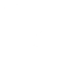 DDP door-to-door service